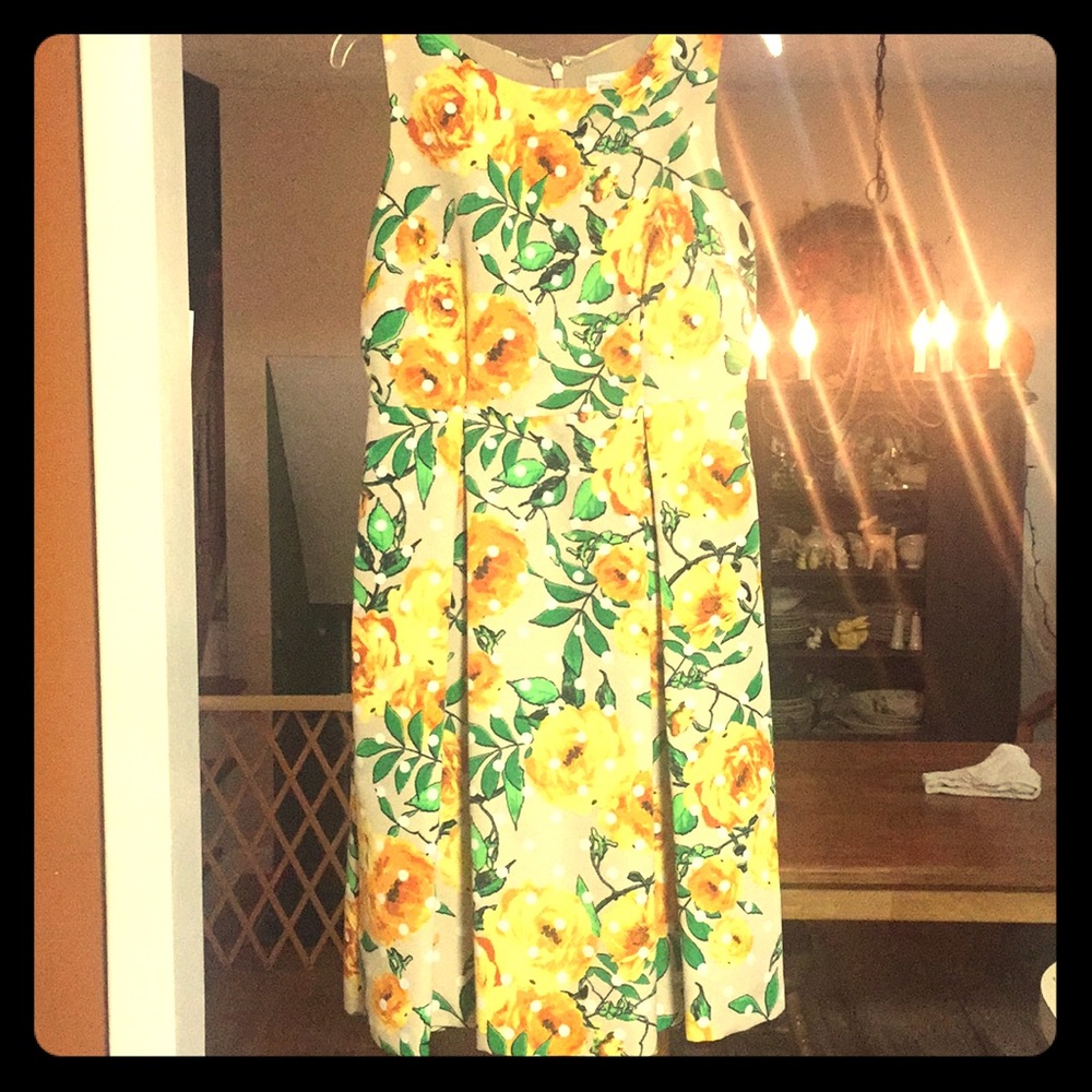 NY & Co Sophisticated Midi Dress!! So CUTE!!